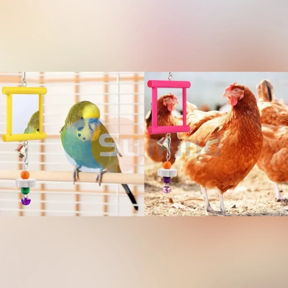 Yellow Bird Cage Mirror And Cuttle Bone